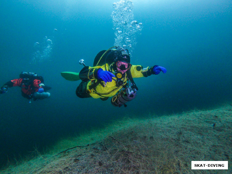 Ветров Евгений, после этих фото к Жене начали записываться на курс правильного трима