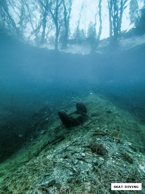 Когда-то мы выкапывали эту находку из слоя растительности, а теперь она лежит на открытом грунте