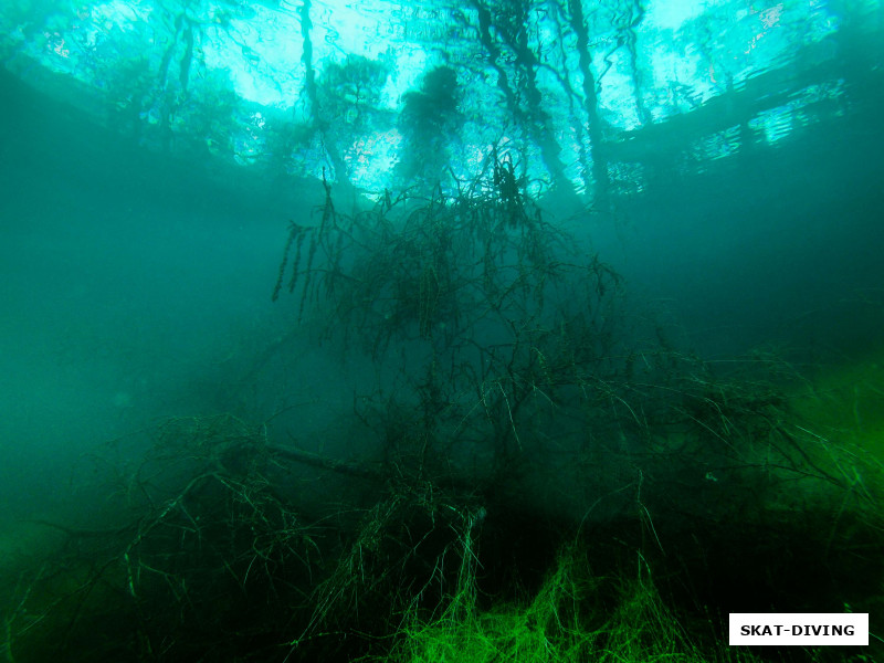 Типичная картина под берегом для Голубого озера