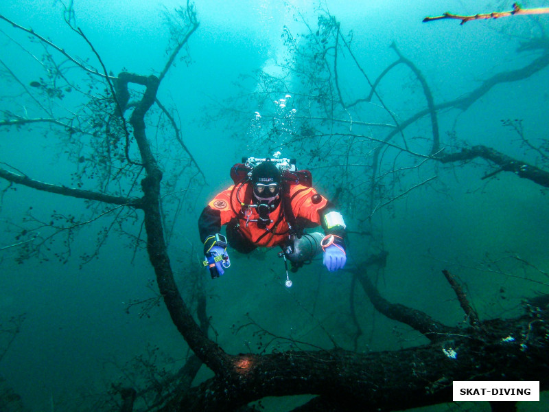 Касилов Евгений, таких мягких кораллов во всем Красном море не отыскать