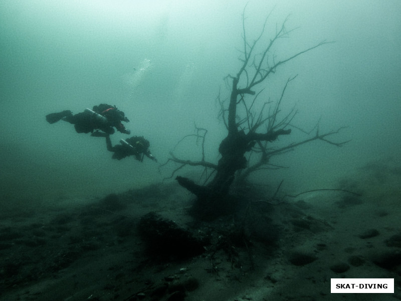 Мир после ядерной войны, актуальная тема, кстати