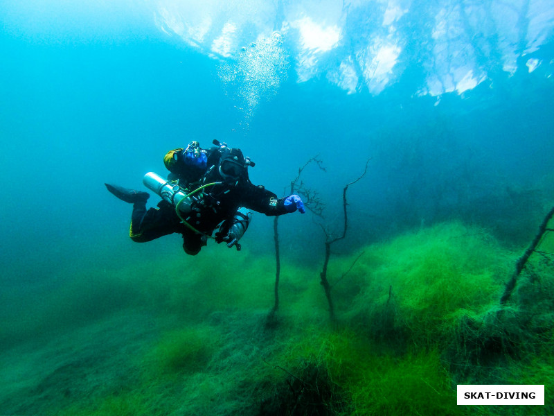 Азаркин Юрий, стоит появиться солнышку, как все снова вспыхивает достаточно яркими красками