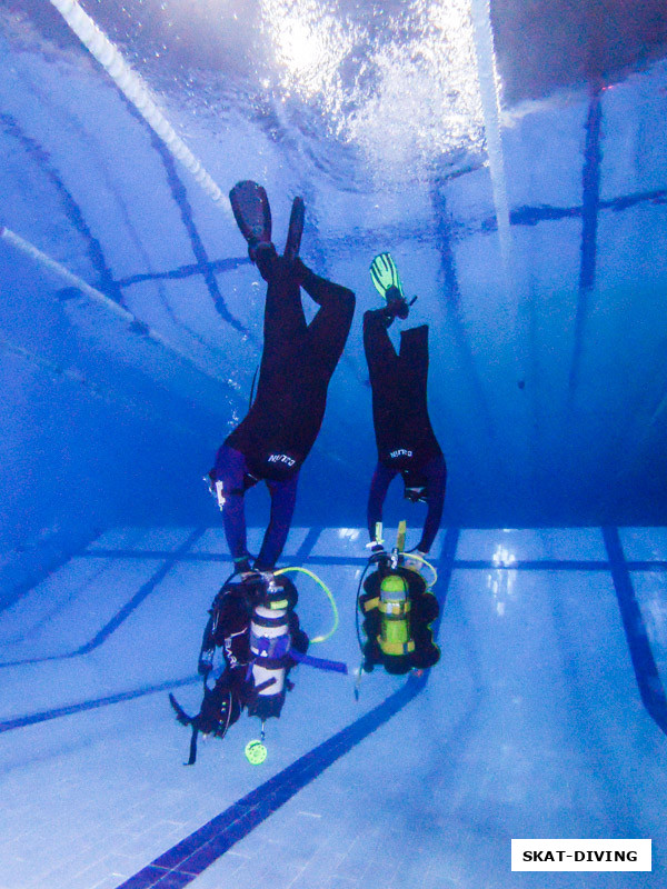 "Мангровые леса курса"