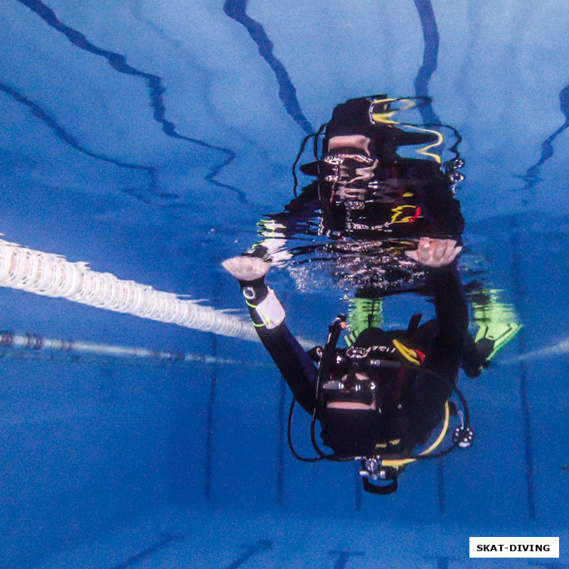 Шикун Вадим, "созвездие близнецы"