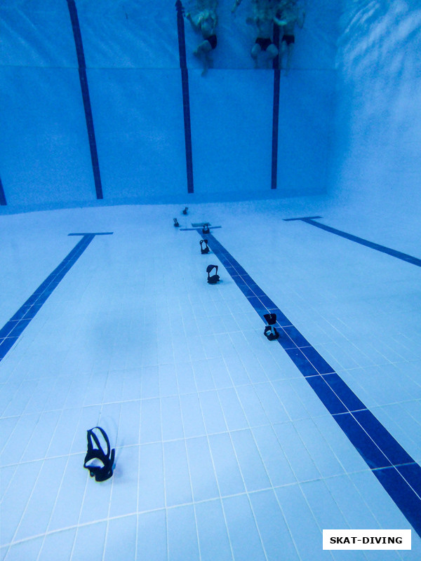 На всякий случай проверили готовность всех студентов плавать без маски, получилось странная картина на дне