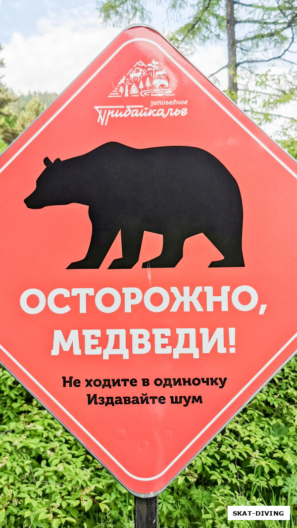 Этих не видели, а вот белок и касуль видели