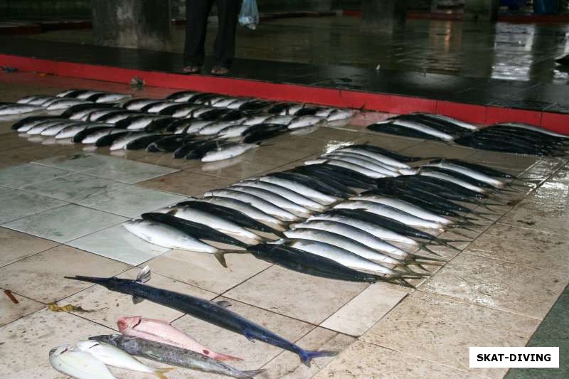 Рыбный рынок в Мале