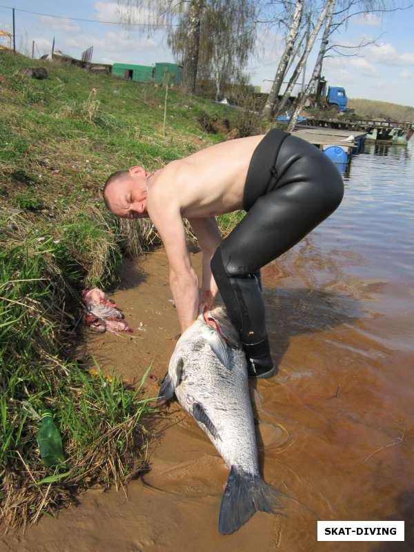 Ильюшин Дмитрий, готовим рыбу к употреблению