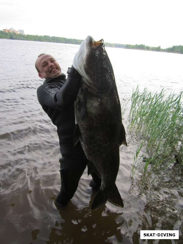 Ильюшин Дмитрий, большой толстолобик весом почти 40 килограмм
