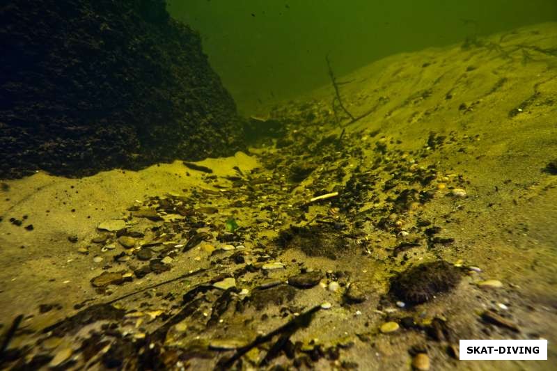 Подводная жизнь реки Судость