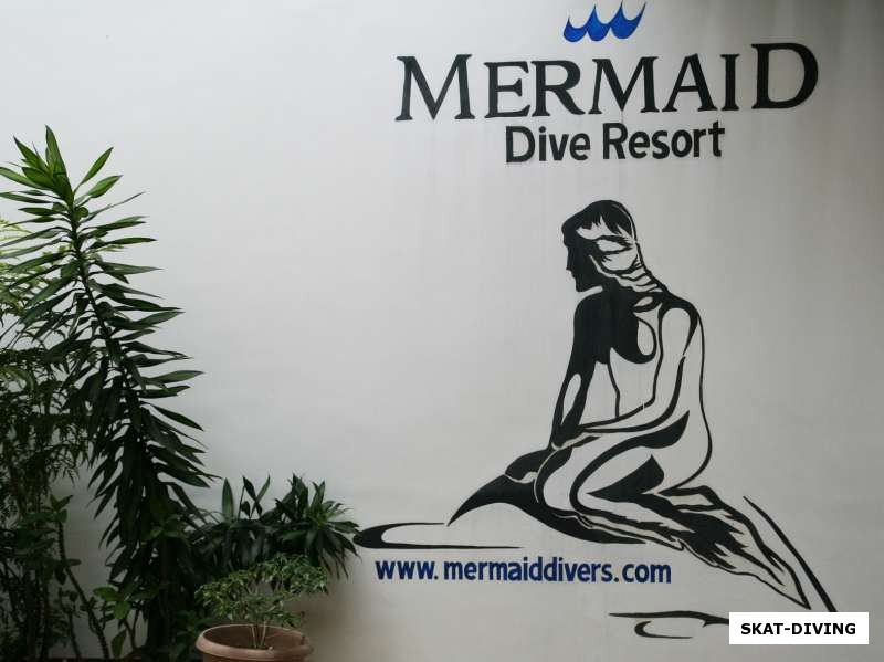Mermaid Dive Resort - немецкий дайв-центр высокого уровня в Puerto Galera