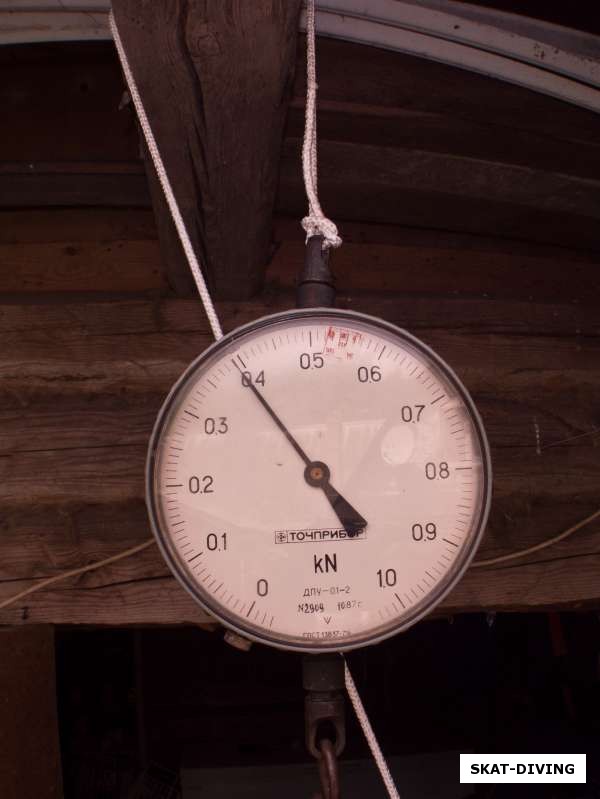 Самый крупный толстолоб, добытый нами в Десногорске пока весит 41кг