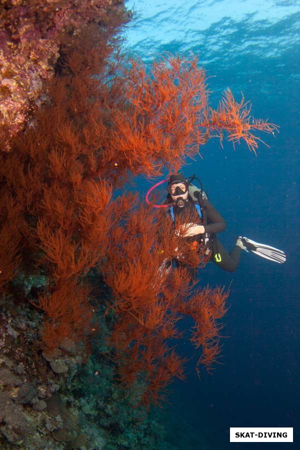 Пинашкина Маргарита, спряталась в зарослях красных кораллов