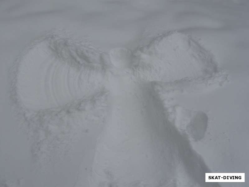 ангел на снегу