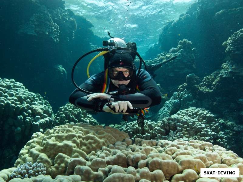 Шнабель Константин, постановочное фото в великолепных садах жестких кораллов