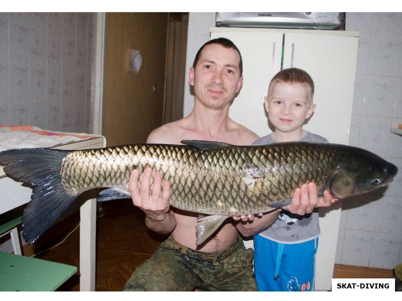 Николаенков Сергей, с амуром на 11 килограмм, добытым на озере в брянской области