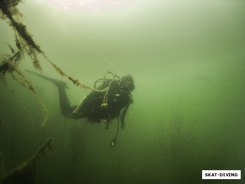 Тананыкина Елена, в подводных лесах голубого карьера