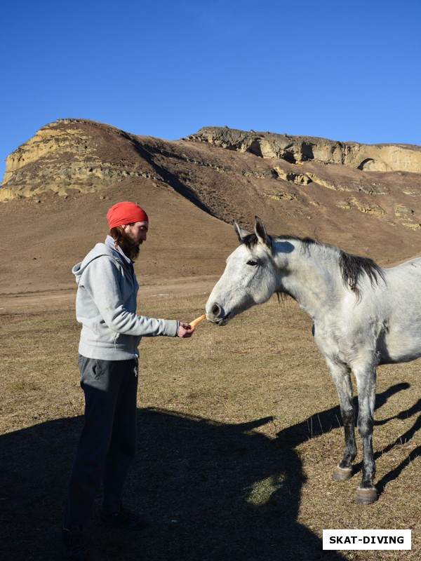 Романов Артем, если вы приехали в Приэльбрусье, готовьтесь общаться с лошадьми. Найти их при желании совсем не сложно