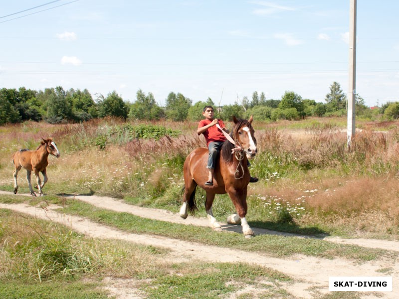 Привычная для Керамзита картина, вопрос лишь в том, как именно будут передвигаться цыгане: пешком или на лошади?