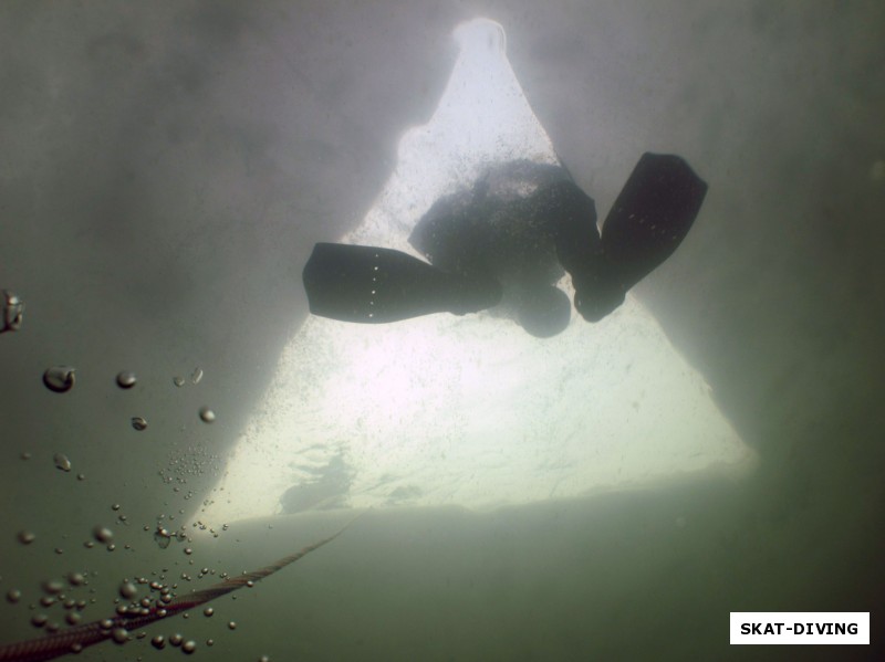 А вот и первое фото из-подо льда, дно под майной на глубине около 4 метров