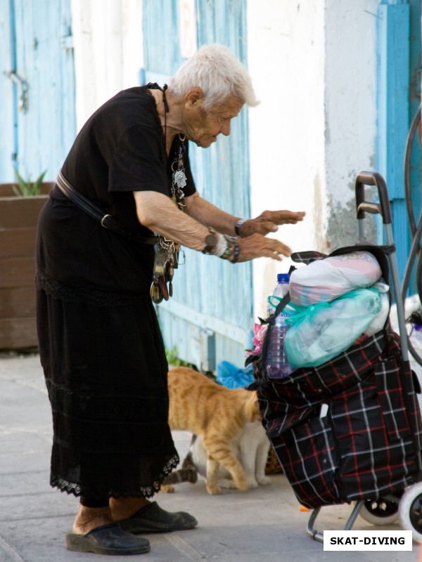 Кипрские пенсионеры не сидят на месте, они в постоянном движении. Их можно увидеть сидящими по вечерам в кафе и ведущими светские беседы с друзьями