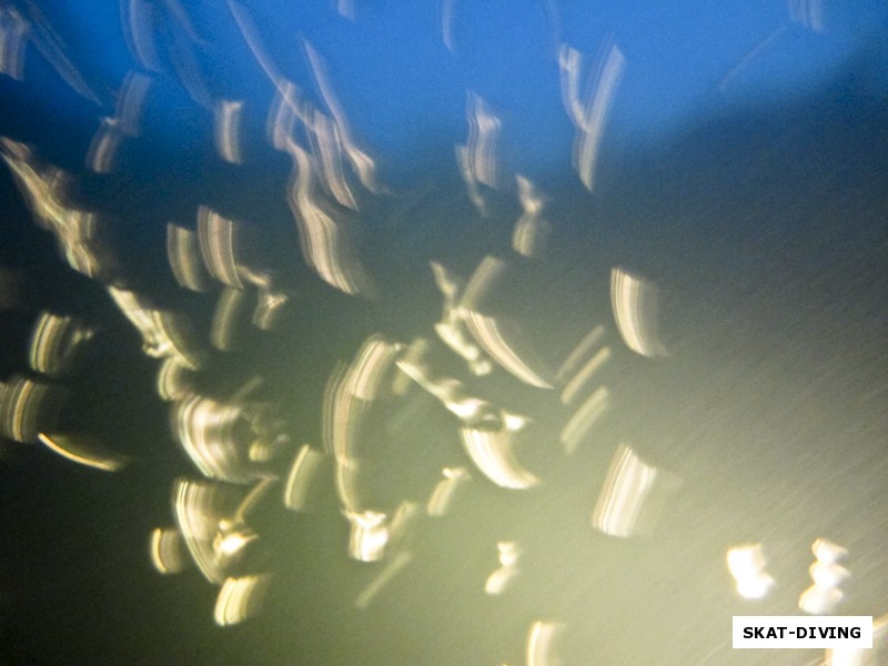 Эта фотка не так проста, странные всполохи на картинке - это разлетающиеся от света с бешеной скоростью мальки, чем-то напомнившие стаи анчоусов на Мальдивах