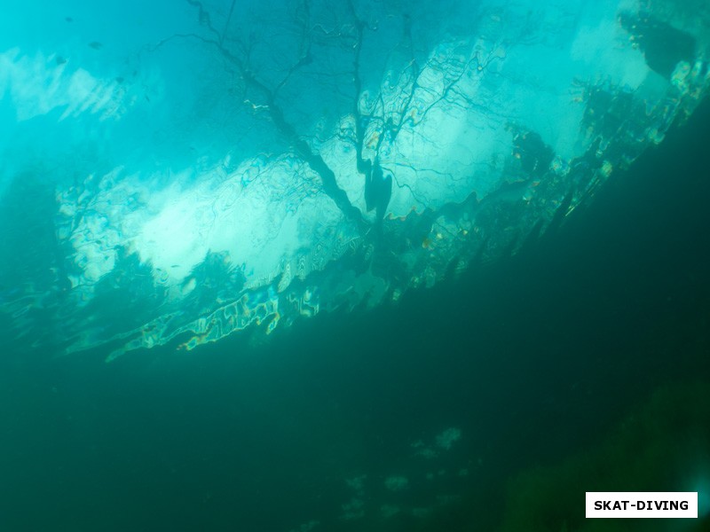Кристально прозрачная вода Голубого озера позволяла делать такие снимки с глубины 8-10 метров
