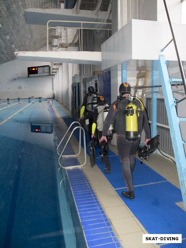Интродайверы уходят к месту спуска в воду вслед за своим подводным гидом