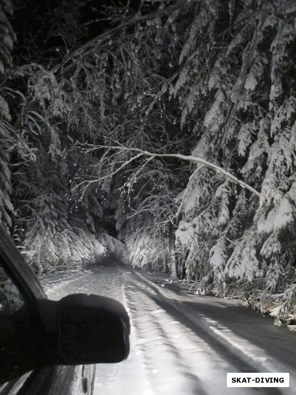 А вот такой была дорога домой, уже по темноте мы пробирались назад к трассе, надеясь больше не встретить упавших деревьев