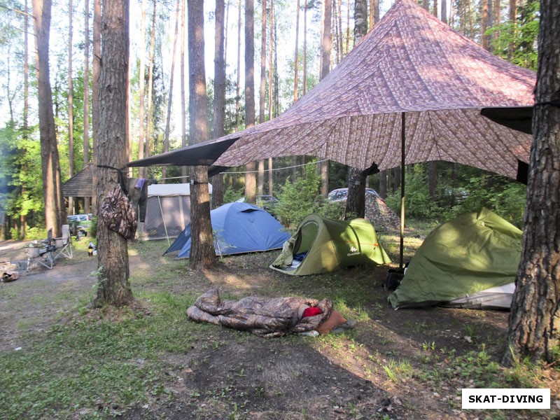 Лагерь на рассвете под пение птиц и легкое храпения жителей палаток