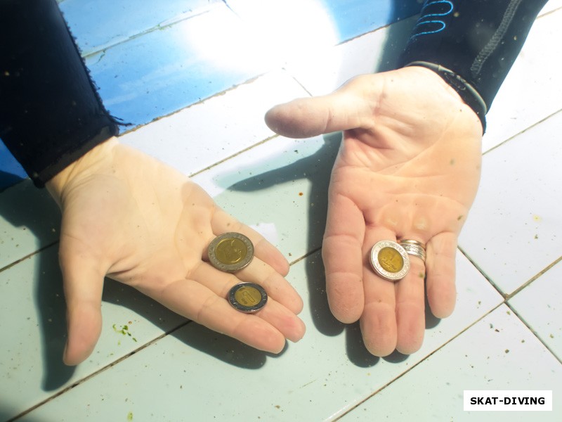 На дне бассейна были обнаружены иностранные монеты
