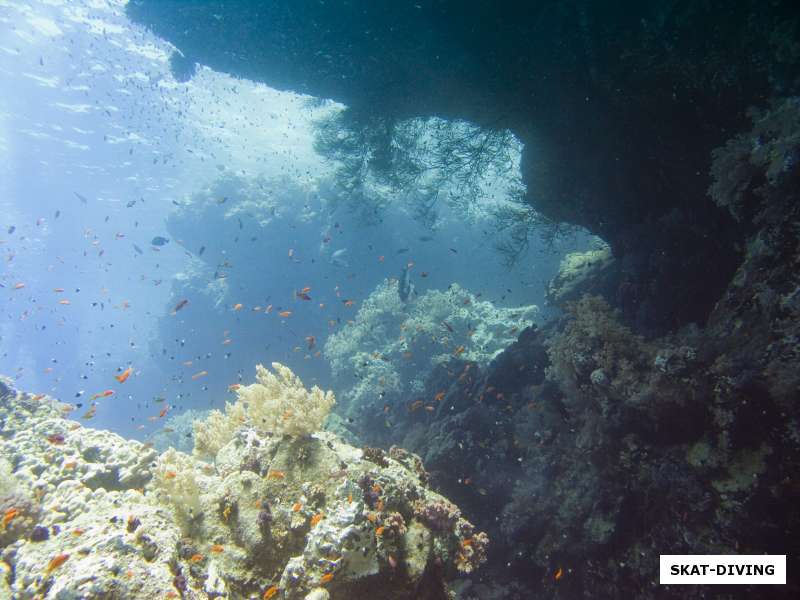 необычный риф