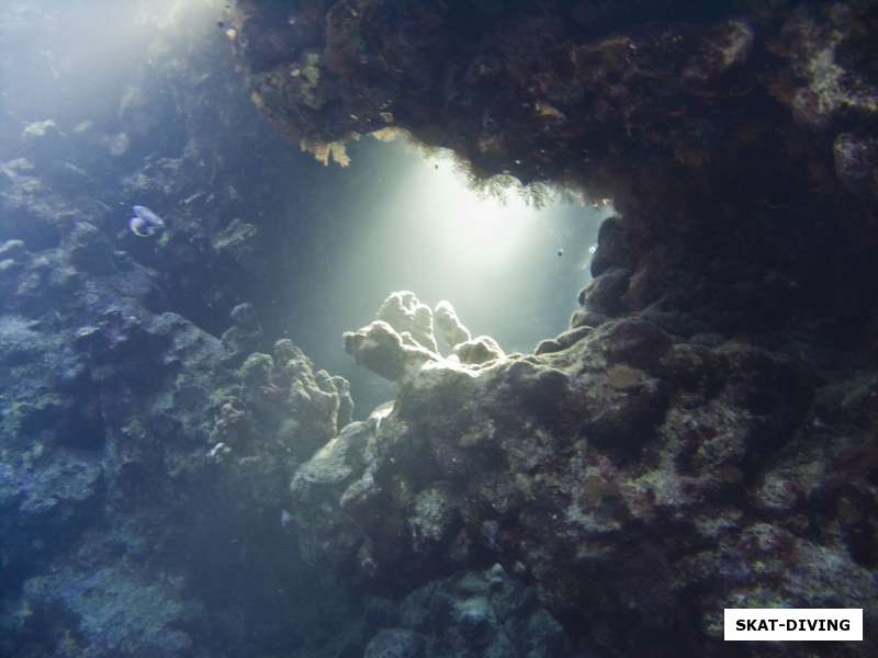 солнечный свет пробивается через риф