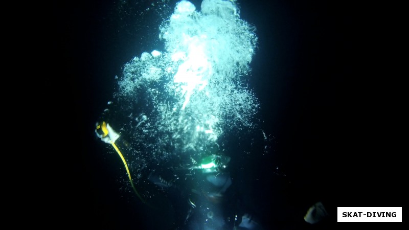 Подводная магия при помощи фонаря и октопуса