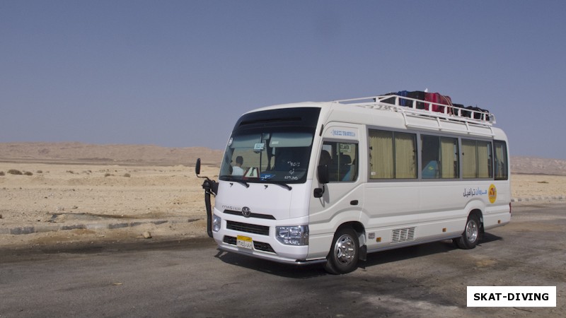 На этом автобусе мы добирались из Каира в Шарм, трансфер был организован прямо от аэропорта через компанию «GOBUS»
