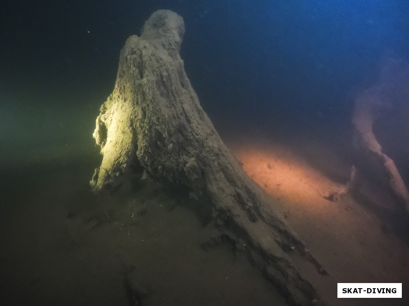 Десногорские пни - это отдельное подводное наследие