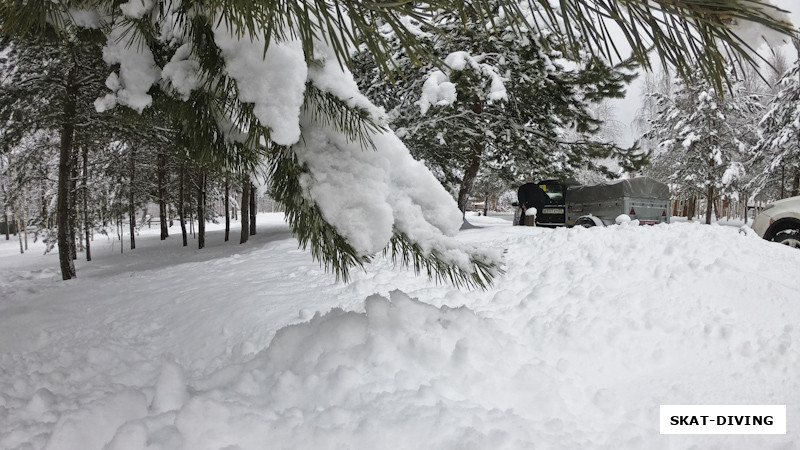 Еще немного и снежные сугробы соединяться с нижними ветвями местных сосен