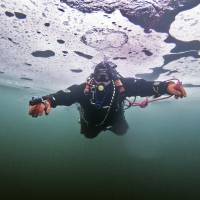 Филиппов Родион, фото №0