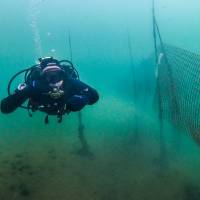 ФОТО №8