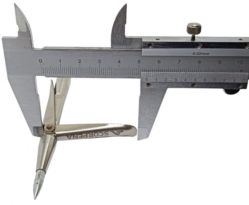 Длина каждого лепестка (флажка) - около 5.4см.