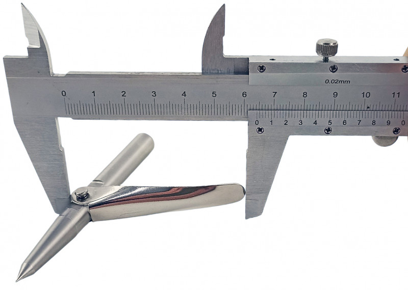 Длина лепестка (флажка) - около 6.4см.