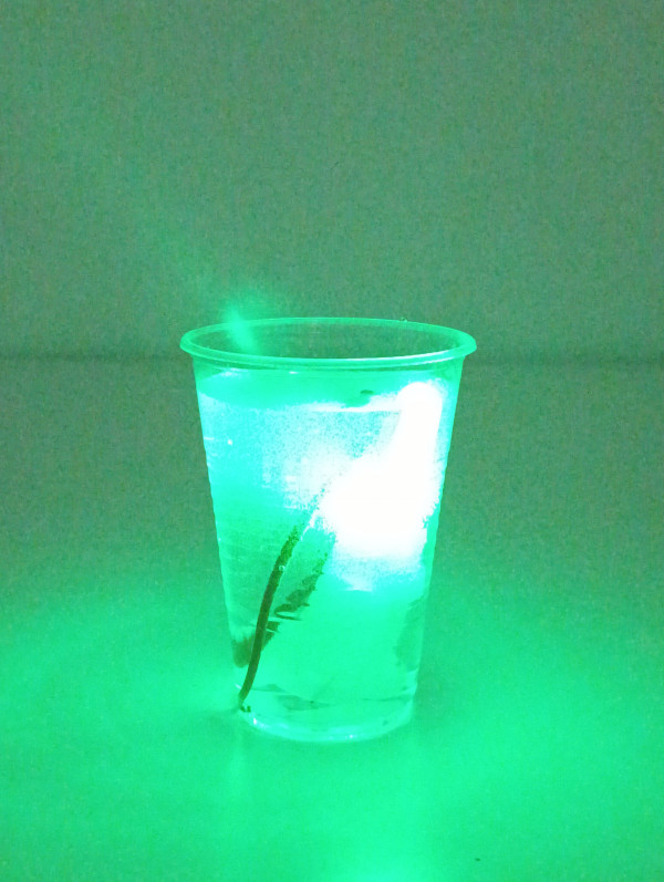 Начинает сверкать красивым зеленым цветом при попадании в воду. Сам выключается, когда его извлекают из воды. После использования в соленой воде следует опреснять, промыв его в пресной воде.