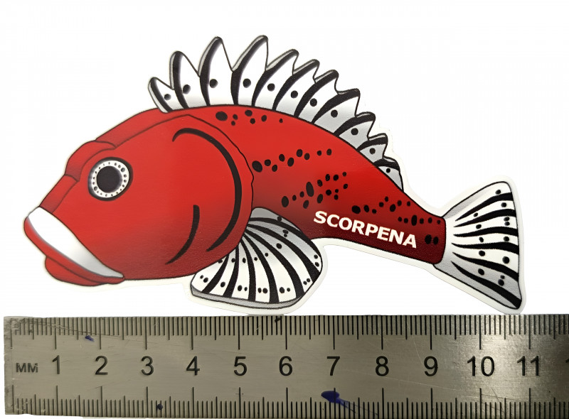 Длина наклейки «Scorpena» - около 11см.