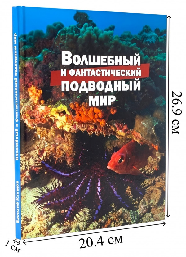 Длина книги - 26.9см, ширина книги - 20.4см, толщина - 1см.