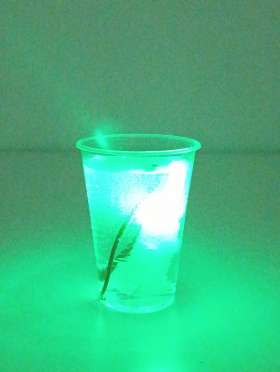 увеличить фото №6