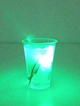 увеличить фото №6