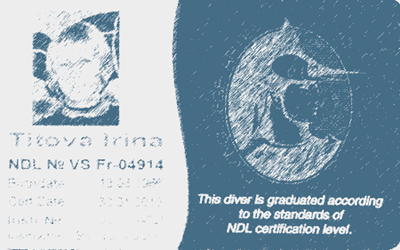 Сертификат NDL Free Diver Level I